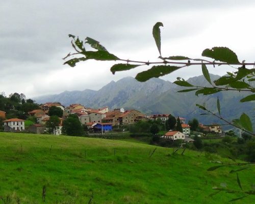 suarias